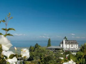 Image of Walzenhausen