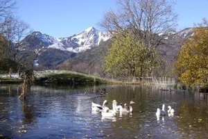 Image of Gästehaus Hächer