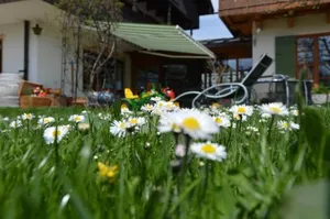Image of Pension Willibald