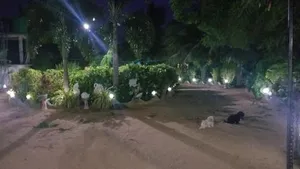 Image of Island Breeze Inn