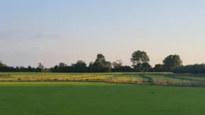 Image of Holiday home Vossennest