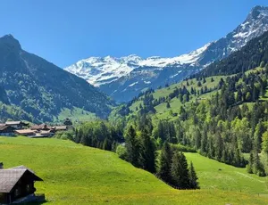 Image of Apartment Arvenwald