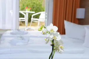 Image of Der Bayerische Hof