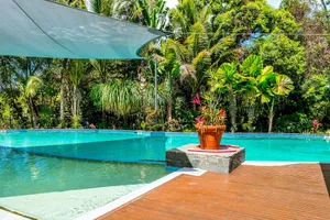 Image of Oasis 8 Paradise At Palm Cove