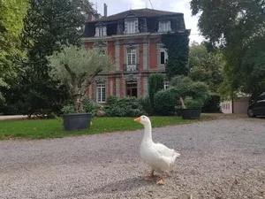 Image of Château Lambert Moulinsart Hotel, shuttle airport, long term parking, snooker, large terrasse, dinner, breakfast