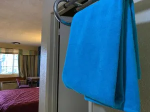 Image of Tiki Lodge McHenry - Downtown Modesto