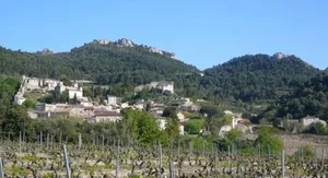 Image of Le Mas de l'Amandier