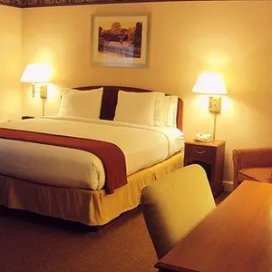 Image of The Hotel Aria - Mountain View