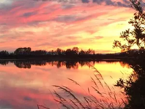 Image of Reflection Lake Bed And Breakfast