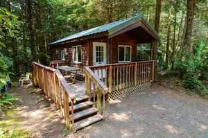 Image of South Jetty Camping Resort Cabin 1