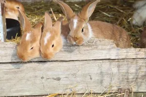 Image of La Ferme Du Pré Charmant