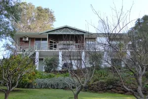 Image of Sea Banksia