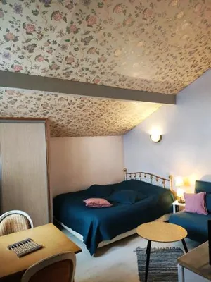 Image of Studio dans Villa historique "Victoria"