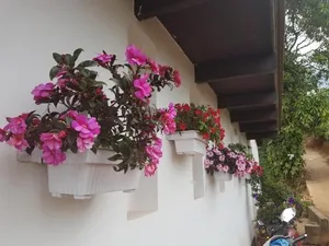 Image of Gruenberg Tea Plantation Haus