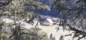 Image of Domaine Des Hauts Viaux