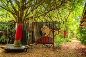 Image of Alcove Bungalow