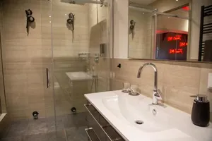 Image of exkl. romantisches SM Apartment Black Rose