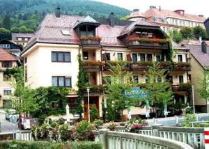 Image of Hotel Restaurant Alte Linde