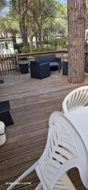 Image of Camping Resort La Baume La Palmeraie