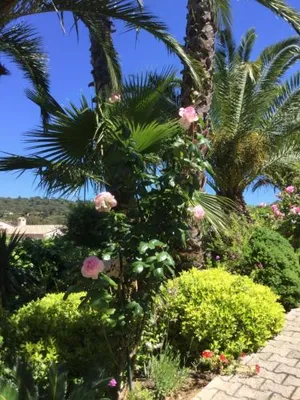 Image of Jacadi