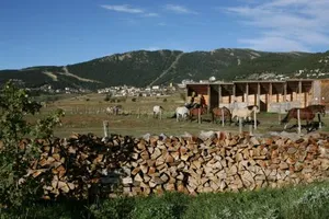 Image of Gite Equisud