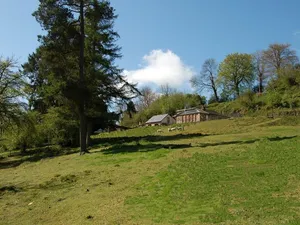 Image of The Old Kennels