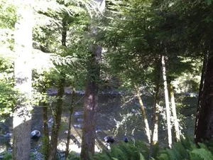 Image of A Relaxing Getaway SolDuc 1