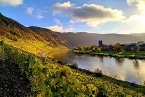 Image of Ferienweingut Gansen Hochgenuss 2