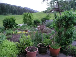 Image of Ferienwohnungen Pension Sonnblick