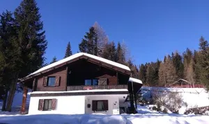 Image of Fichtenblockhütte