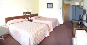 Image of Black Bear Motel