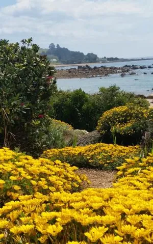 Image of Penguin Beach House