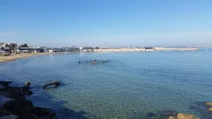 Image of Tibou