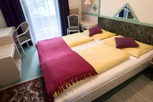 Image of Hotel Garni Ramsl