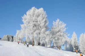 Image of Krone