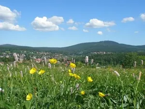 Image of Harzpension Haus Königskopf