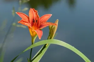 Image of Biogasthof Wanker