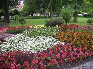Image of Haus Alice