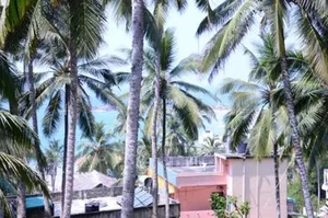 Image of Hotel O Grand Sea