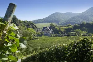 Image of Hotel Pension Jagerstubchen