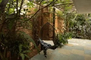 Image of Orchid Tree Wellness Retreat