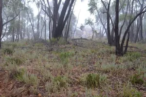 Image of Trestrail Cottage Accommodation