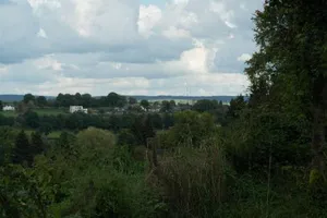 Image of Zum Goldhahn