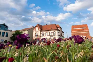 Image of Pension Zur Alten Post