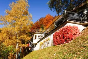 Image of Café Pension Waldfrieden
