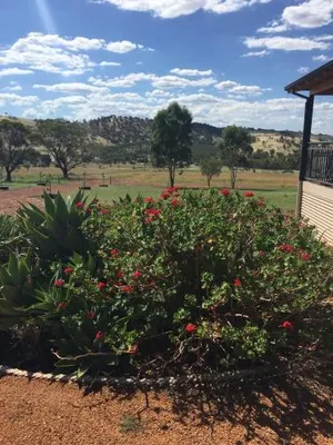 Image of Mountain Park Retreat
