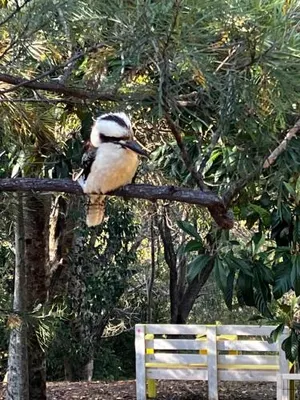 Image of Cudgerie Homestead Bed & Breakfast