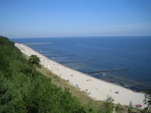 Image of Am Küstenwald