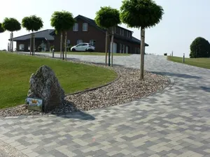 Image of Deichkrone-Rees