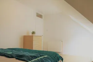 Image of 3 bedroom City Centre Apartment in Lauriston Place